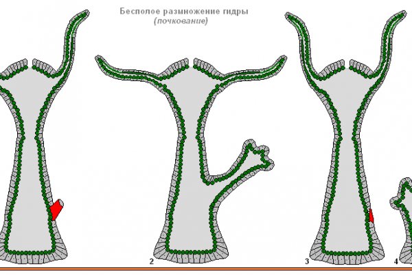 Адрес омг онион